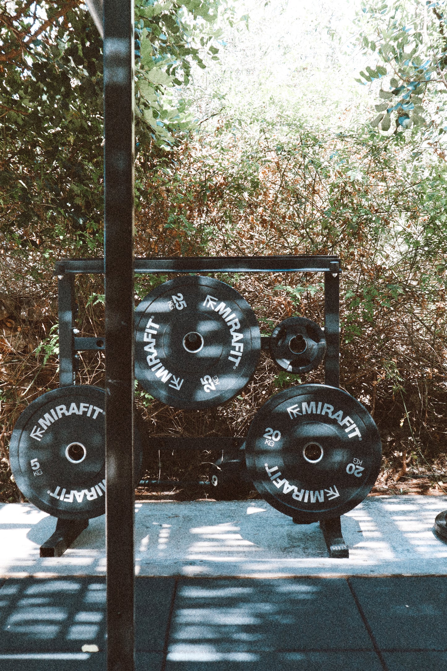 FREE Sample of Curve and Core Sculpt Plan - STARK.fit